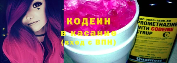гидра Богданович