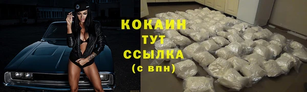 гидра Богданович
