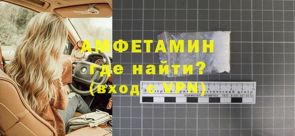 гидра Богданович