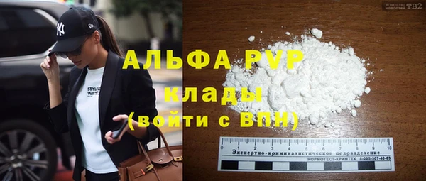 гидра Богданович