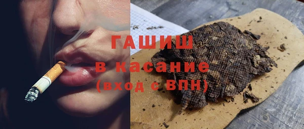 гидра Богданович